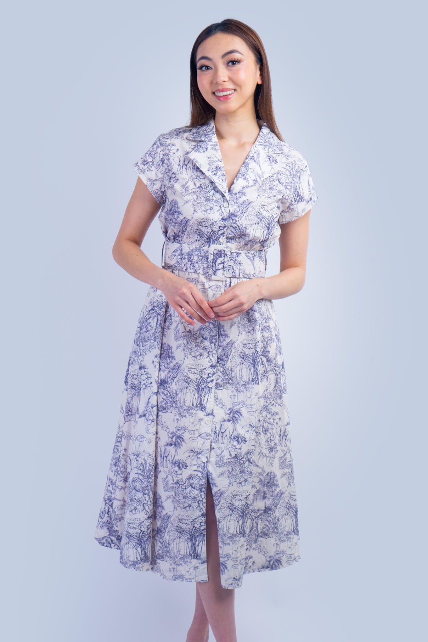 DCD DRESSES Blue and White English Country Side Print Shirt Dress